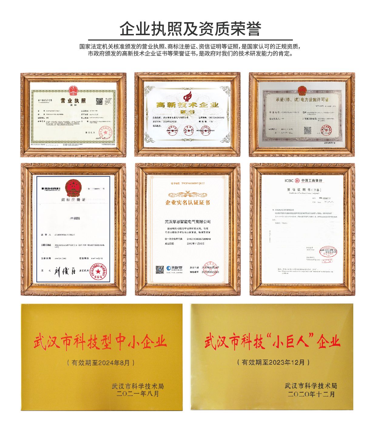迈可森流体 2024 年度重大成果回顾